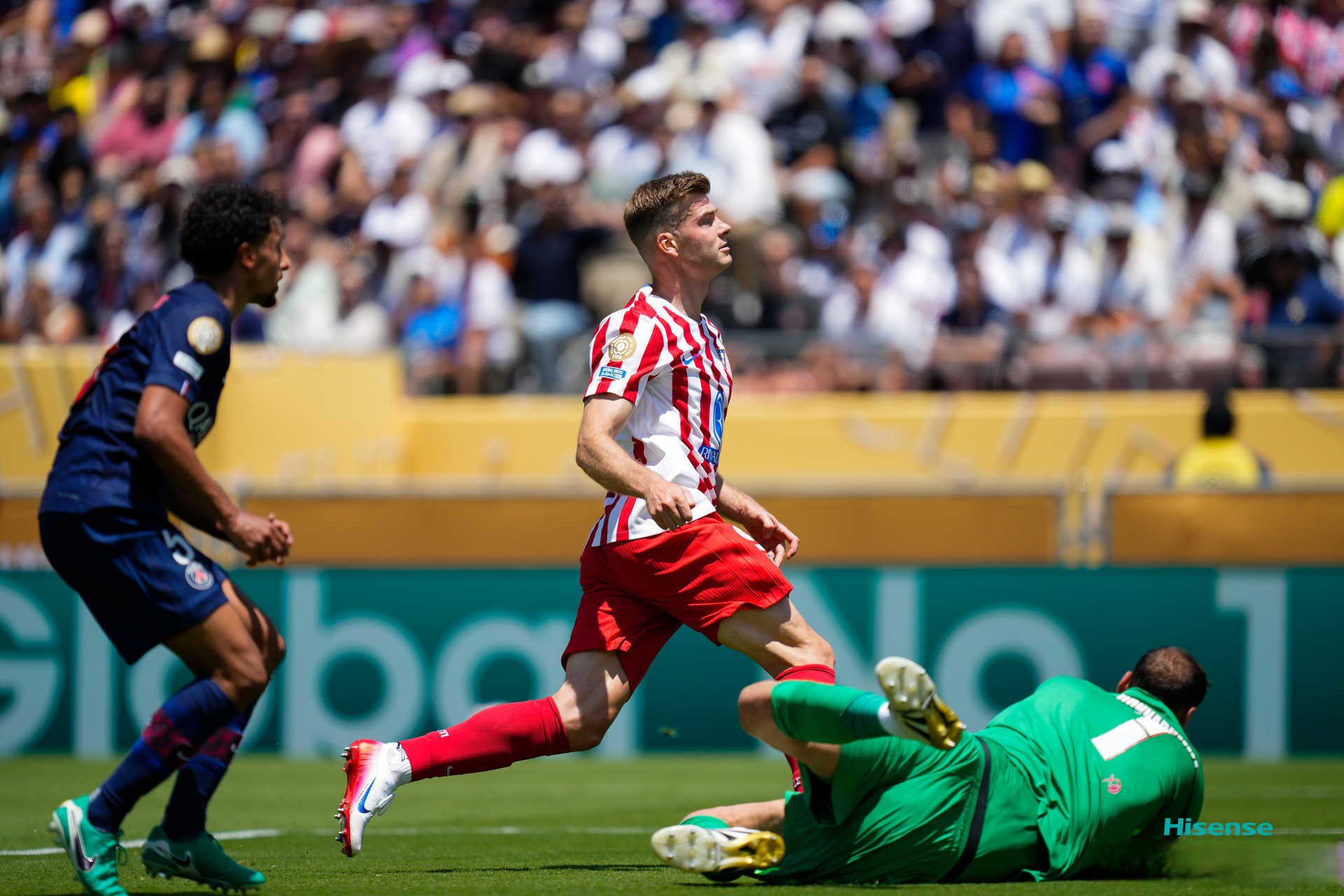 db真人官网-网王开局打穿u17训练营