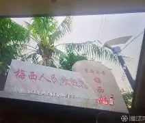 DB真人体育-社区盾赛前走向成谜;罗马绝杀压哨;话题不断;纪律约束更严格